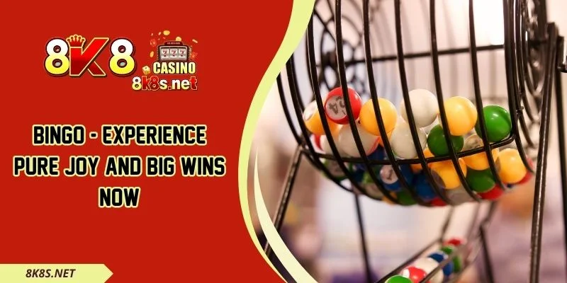 Bingo - Experience Pure Joy And Big Wins Now