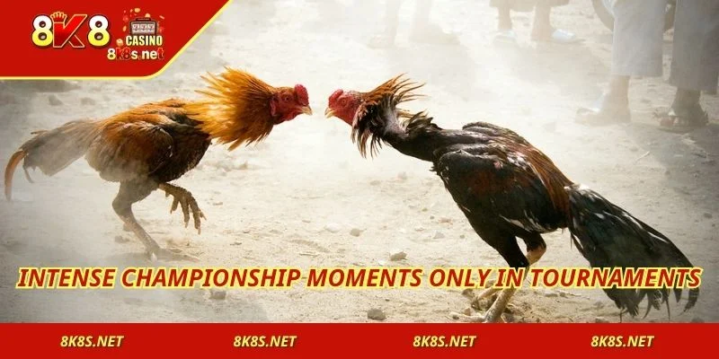 Intense championship moments only in tournaments