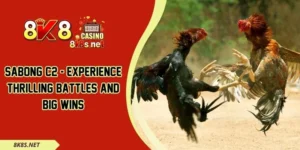 Sabong C2 - Experience Thrilling Battles And Big Wins