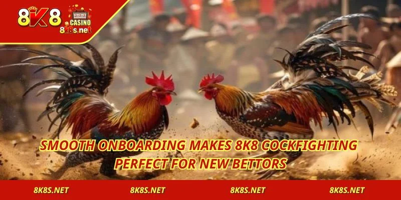 Smooth onboarding makes 8K8 Cockfighting perfect for new bettors