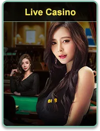 Live casino 8k8