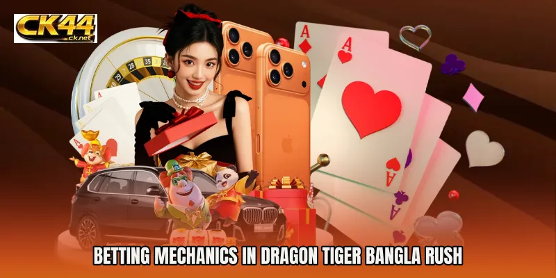 Betting Mechanics in Dragon Tiger Bangla Rush